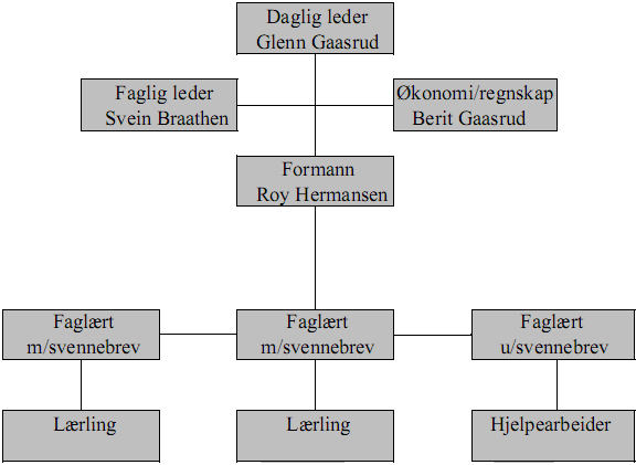 Organisasjonskart